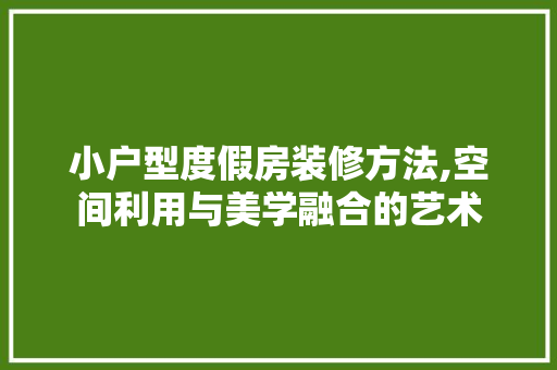 小户型度假房装修方法,空间利用与美学融合的艺术 客厅装修