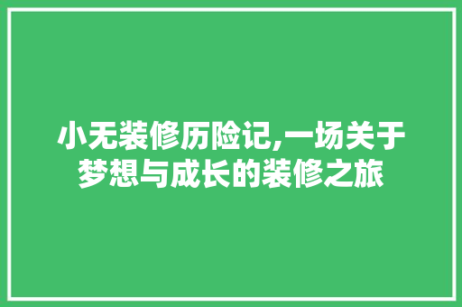 小无装修历险记,一场关于梦想与成长的装修之旅 家居装修