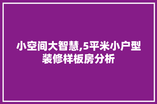 小空间大智慧,5平米小户型装修样板房分析 家居装修