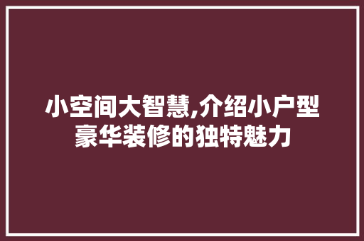 小空间大智慧,介绍小户型豪华装修的独特魅力 室内设计
