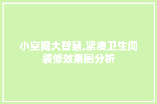 小空间大智慧,紧凑卫生间装修效果图分析 室内设计
