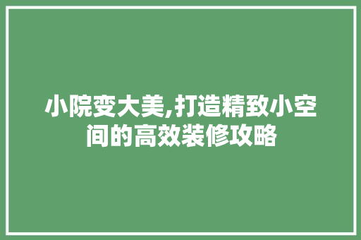 小院变大美,打造精致小空间的高效装修攻略 木雕艺术