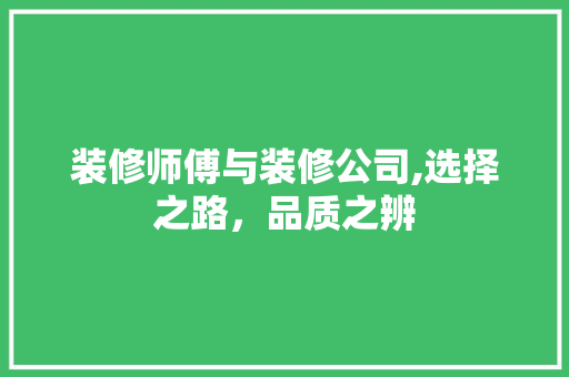 装修师傅与装修公司,选择之路，品质之辨 家居装修