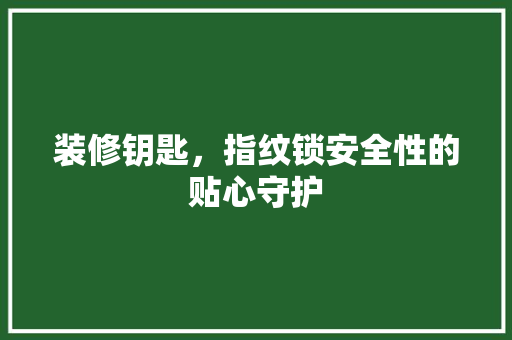 装修钥匙，指纹锁安全性的贴心守护 现代风格装饰