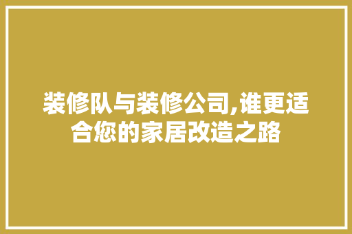 装修队与装修公司,谁更适合您的家居改造之路 现代风格装饰