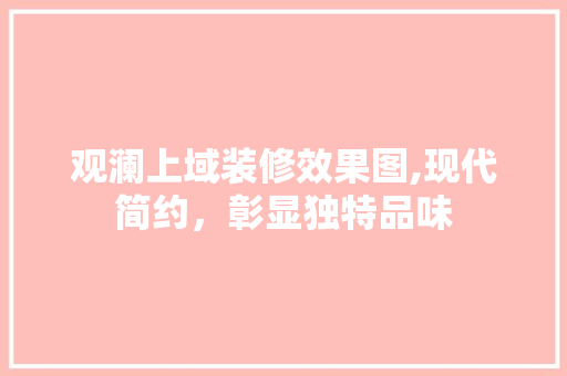观澜上域装修效果图,现代简约，彰显独特品味