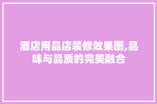 酒店用品店装修效果图,品味与品质的完美融合 地板材料