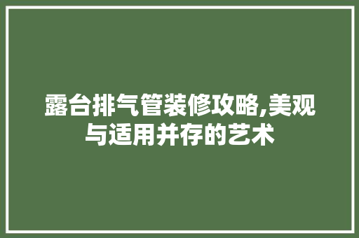露台排气管装修攻略,美观与适用并存的艺术 客厅装修