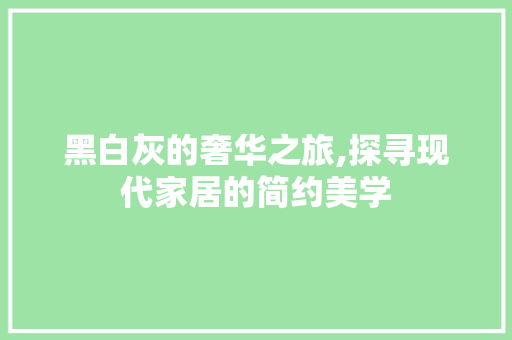 黑白灰的奢华之旅,探寻现代家居的简约美学 地板材料