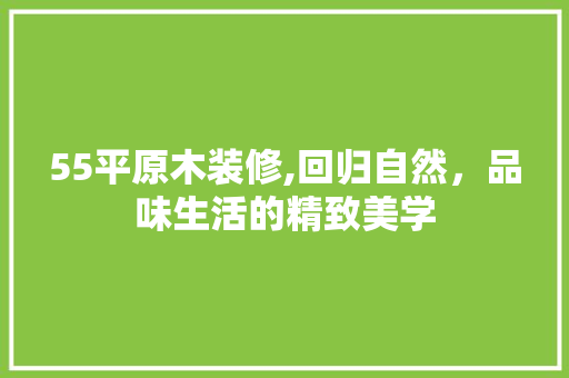 55平原木装修,回归自然，品味生活的精致美学 室内设计