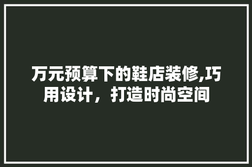 万元预算下的鞋店装修,巧用设计，打造时尚空间 室内设计