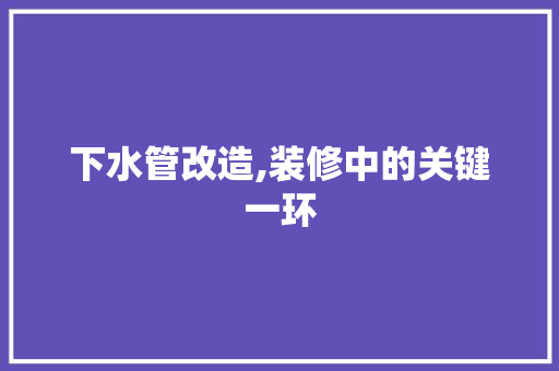 下水管改造,装修中的关键一环 中式风格装饰