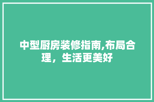 中型厨房装修指南,布局合理，生活更美好 软装设计