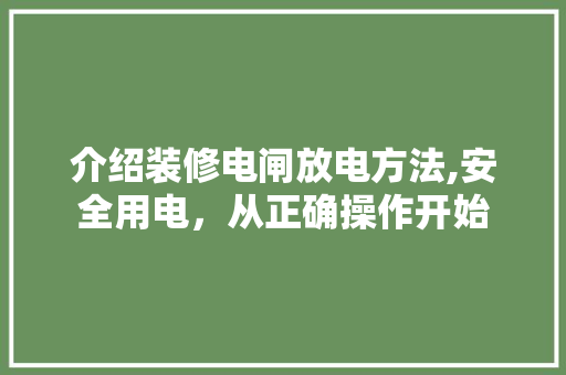 介绍装修电闸放电方法,安全用电，从正确操作开始