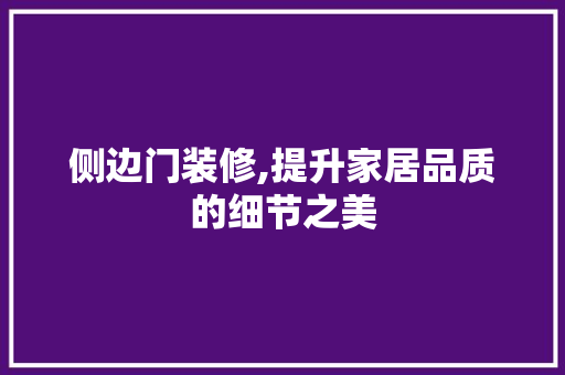 侧边门装修,提升家居品质的细节之美