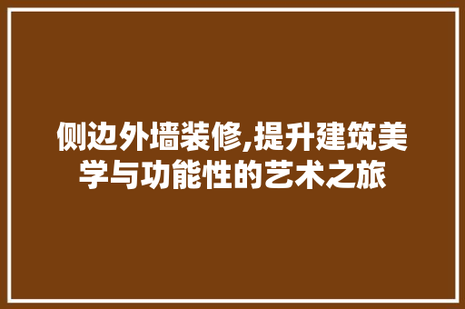 侧边外墙装修,提升建筑美学与功能性的艺术之旅 客厅装修