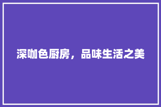 深咖色厨房，品味生活之美 中式风格装饰