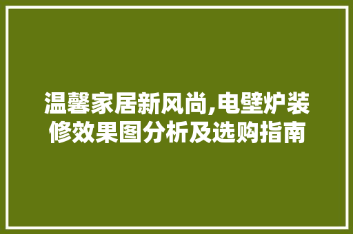 温馨家居新风尚,电壁炉装修效果图分析及选购指南 中式风格装饰