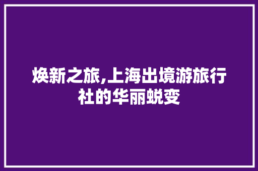 焕新之旅,上海出境游旅行社的华丽蜕变 软装设计