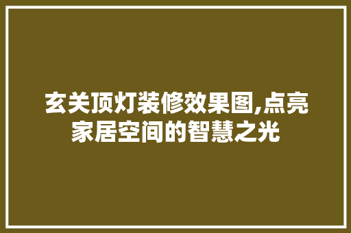 玄关顶灯装修效果图,点亮家居空间的智慧之光