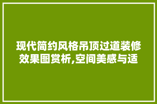 现代简约风格吊顶过道装修效果图赏析,空间美感与适用性的完美融合