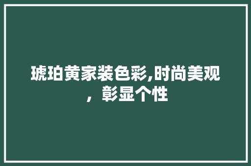 琥珀黄家装色彩,时尚美观，彰显个性 家居装修