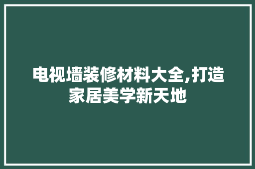 电视墙装修材料大全,打造家居美学新天地
