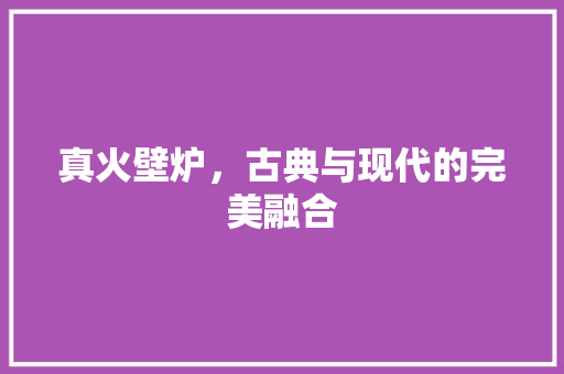 真火壁炉，古典与现代的完美融合 卧室装修