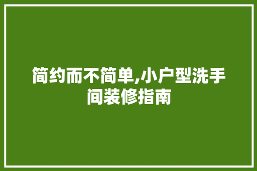 简约而不简单,小户型洗手间装修指南 卧室装修