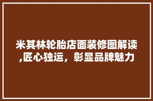 米其林轮胎店面装修图解读,匠心独运，彰显品牌魅力 地板材料