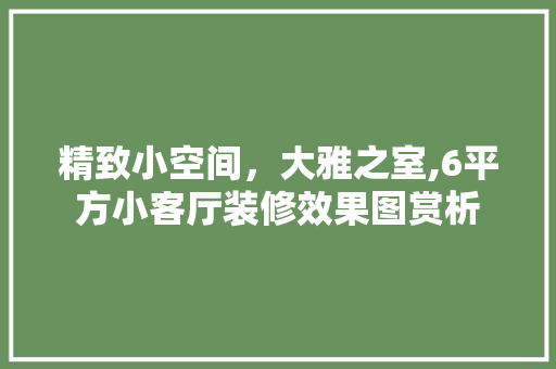 精致小空间，大雅之室,6平方小客厅装修效果图赏析 现代风格装饰