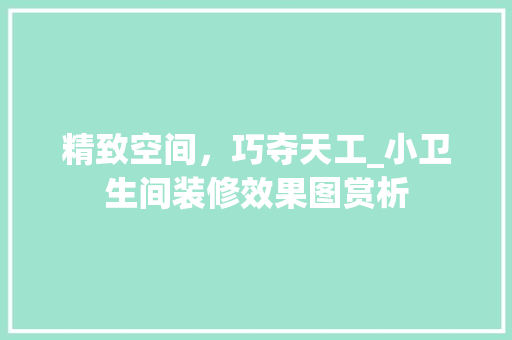 精致空间，巧夺天工_小卫生间装修效果图赏析 软装设计