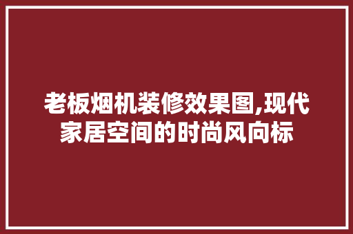 老板烟机装修效果图,现代家居空间的时尚风向标 现代风格装饰