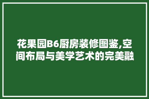 花果园B6厨房装修图鉴,空间布局与美学艺术的完美融合 室内设计