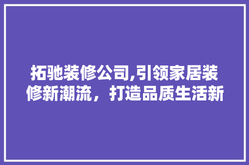 拓驰装修公司,引领家居装修新潮流，打造品质生活新标杆 现代风格装饰