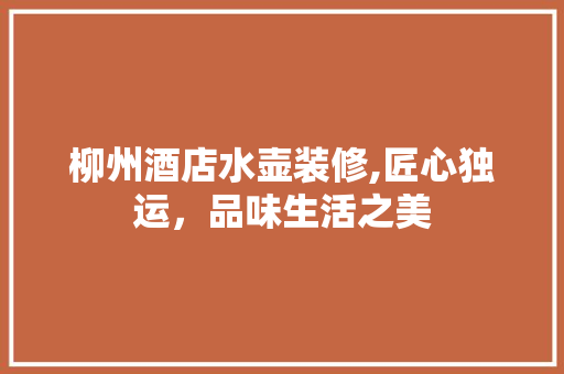柳州酒店水壶装修,匠心独运，品味生活之美 现代风格装饰