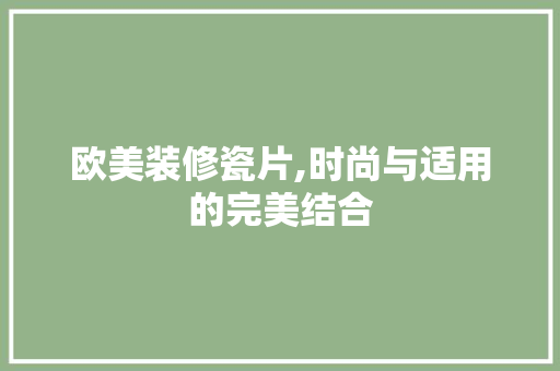 欧美装修瓷片,时尚与适用的完美结合 地板材料