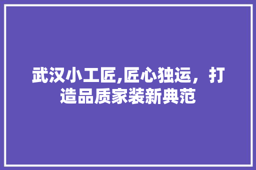 武汉小工匠,匠心独运，打造品质家装新典范
