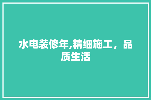 水电装修年,精细施工，品质生活 家居装修