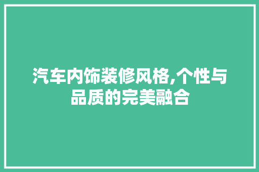 汽车内饰装修风格,个性与品质的完美融合 客厅装修