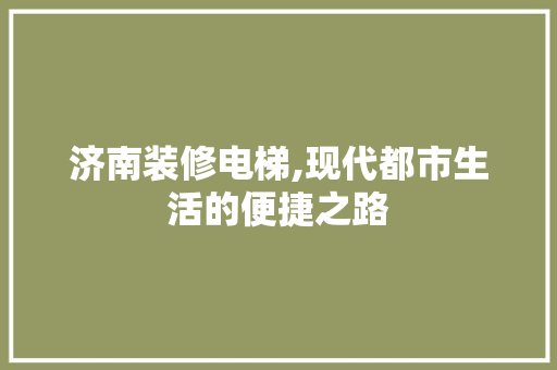 济南装修电梯,现代都市生活的便捷之路 现代风格装饰