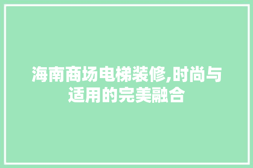 海南商场电梯装修,时尚与适用的完美融合 室内设计
