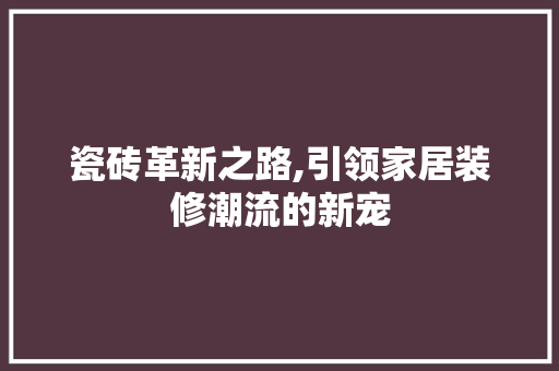 瓷砖革新之路,引领家居装修潮流的新宠 现代风格装饰
