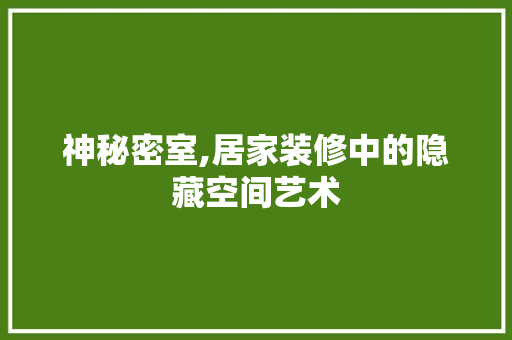 神秘密室,居家装修中的隐藏空间艺术