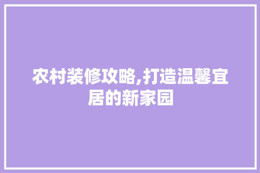 农村装修攻略,打造温馨宜居的新家园 现代风格装饰