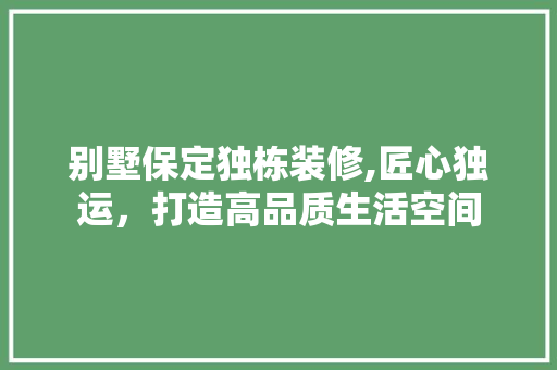 别墅保定独栋装修,匠心独运，打造高品质生活空间 家居装修