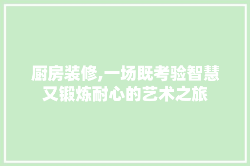 厨房装修,一场既考验智慧又锻炼耐心的艺术之旅 卧室装修
