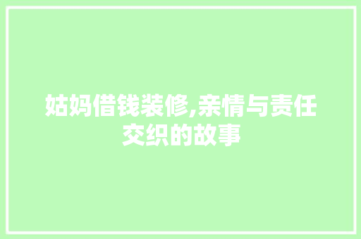 姑妈借钱装修,亲情与责任交织的故事 现代风格装饰