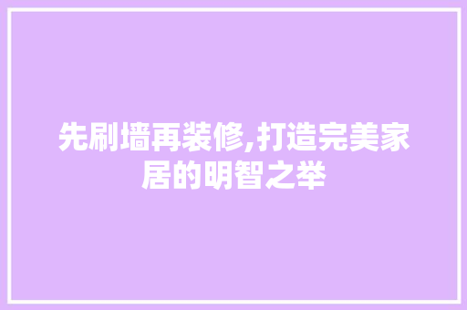 先刷墙再装修,打造完美家居的明智之举 家居装修