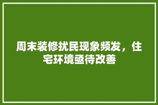 周末装修扰民现象频发，住宅环境亟待改善